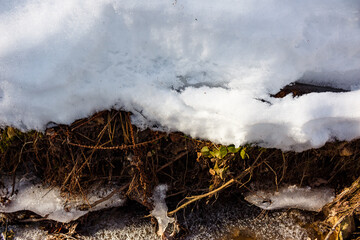 Close-up of melting snow revealing intricate roots, earthy ground, and glistening ice formations around a trickling stream in early spring