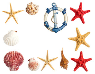 A collection of seashells, starfish and a life preserver/anchor arranged around a dark void, creating a nautical-themed frame