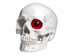 Obraz premium A white skull with a striking red eye, isolated on a black backdrop. Sinister and eerie anatomical detail visible