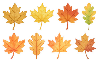 Obraz premium PNG Colorful autumn leaves illustration, element set on transparent background