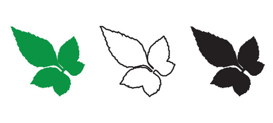 Green Compound Leaf Silhouette Outline and Black Fill