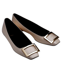 Image of a shoes for fashion on transparent background