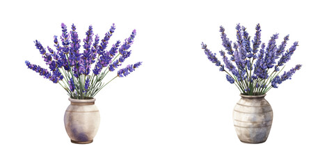 lavender in vase watercolor vector illustration