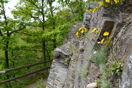 Wanderweg am Kobersfelsen bei Burgk an der Saale