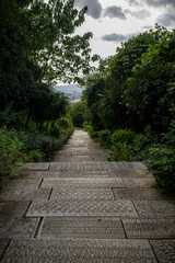 A stone pathway winding through lush greenery leading into a serene forested landscape under a cloudy sky