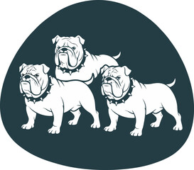 Three English Bulldog dogs vector graphic logo design mascot wearing spiked collars illustration