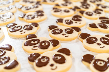 Rich Chocolate Royal Icing for Decorating