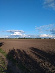 Expansive Field Under a Clear Blue Sky