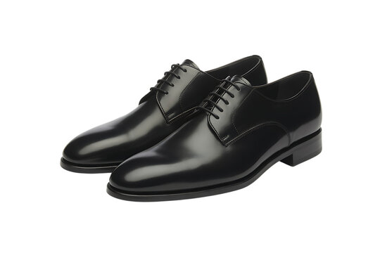 Elegant black leather dress shoes on a clean white background, perfect for formal occasions.