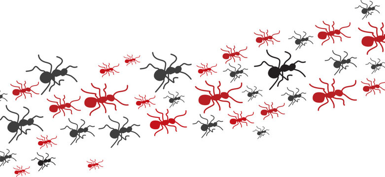 Black and red ant pattern illustration showing insects walking in diagonal formation on white background. Perfect for nature, wildlife, entomology, or pest control themed designs.