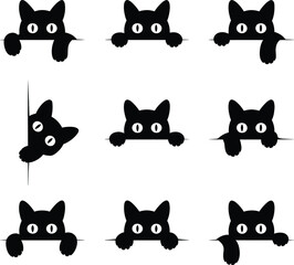 Black cats peeking over white background curious playful