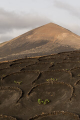 hiking in the volcano landscape of Timanfaya in Lanzarote