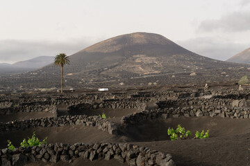 hiking in the volcano landscape of Timanfaya in Lanzarote