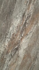 A dull, solid claystone with fine texture, brown or gray coloration, and no visible layering