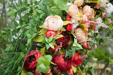Texture of rose buds. Flowers in the garden. Rose bushes.