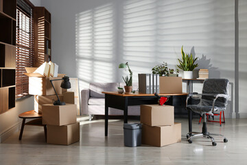 Many moving boxes, houseplants and furniture in new office
