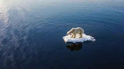 Fototapete Eisbär Polar bear on melting ice floe in vast ocean  ©  