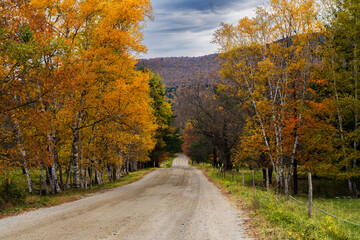 Autumn rural road 