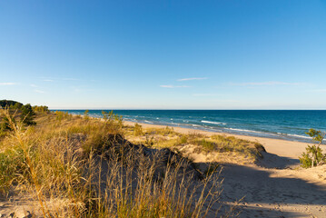 Lake Michigan shoreline.