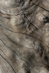 Wood Texture Abstract Background
