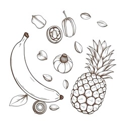 illustration of fruits and berries