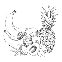 vector illustration of a banana