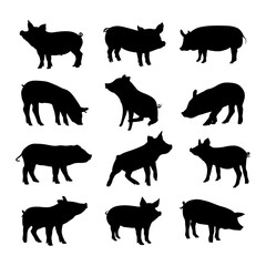 collection of pig animal silhouettes in different poses