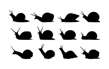 collection of snail silhouettes in various poses © MadeDirgaPepe