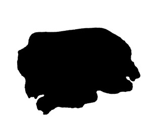 Abstract black blob isolated on white background, amorphous and undefined shape