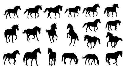Fototapeta premium Horse Silhouettes Set — Twenty Black Horse Poses in Motion on White Background, Minimalist Flat Vector Design