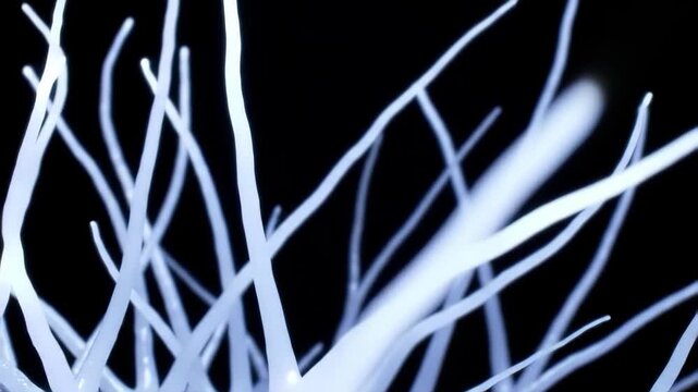 Bioluminescent white tentacles on black background, glowing organic nerve fibers, abstract microscopic neuron network, ethereal deep sea life