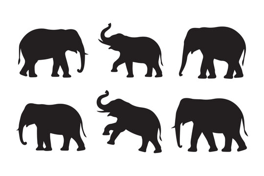 elephant silhouette poses vector illustrations for logos patterns and education