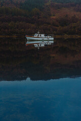Tranquil waters of Loch Sunart, Scottish Highlands, on a peaceful day