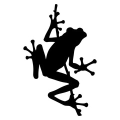 Black silhouette of a tree frog climbing on a white background with detailed feet and legs