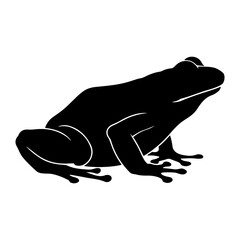 Silhouette of a frog with detailed legs and body isolated on a white background in a sketch art style
