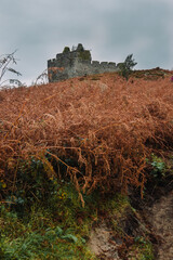A dramatic and atmospheric photograph of the ruined medieval Castle Tioram (pronounced "Cheerum"), the former stronghold of the Clanranald branch of the MacDonalds - in Loch Moidart