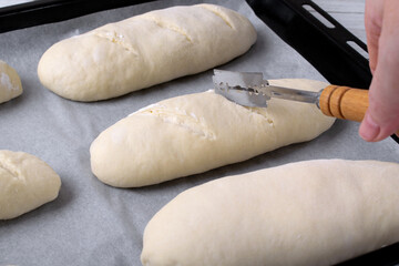 Making cuts on the formed raw bread dough on the parchment paper on tray. Shaping and proofing before baking
