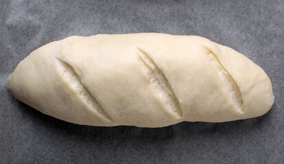 Formed raw bread loaf on the parchment paper. Shaping and proofing before baking