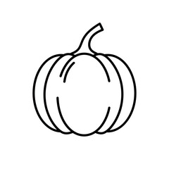 Graphic outline illustration of a fresh round pumpkin squash with small stem