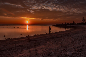 Silhouette of Person Walking on Beach at Sunset with Golden Sunlight