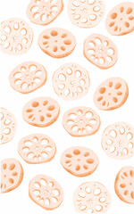 Lotus flower issolated on white. Lotus harvest is Behave[