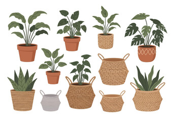 An arrangement of various potted plants and woven baskets on a white background