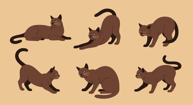 Six cartoon illustrations of brown cats in various playful and stretching poses on a beige background.