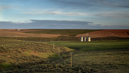 Golden Hour Fields and  Rural Landscape