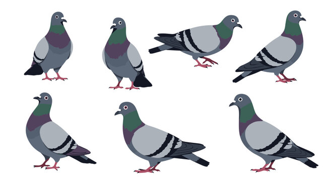 A collection of pixelated pigeons in various poses showcases the simple charm and quirky character of these urban birds.