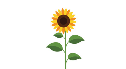 Obraz premium A cheerful illustration of a sunflower with yellow and orange petals, a brown center, and green leaves, standing tall on a clean white background.