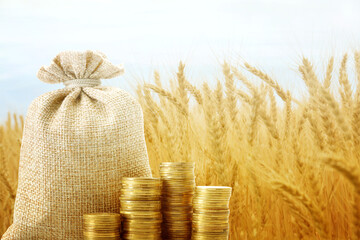 Agricultural production profit. Money bag and coins against wheat field