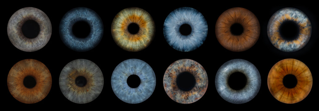 Human eye, closeup. Colorful irises on black background, set