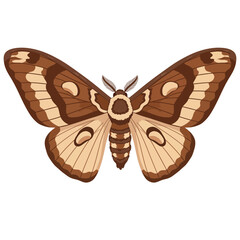 Brown moth with patterned wings illustration.