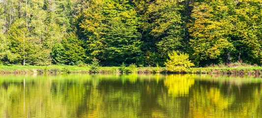 Selbstklebende Fototapeten Gelb landscape with trees reflected in the lake water on a sunny autumn morning  © Andrey Solovev